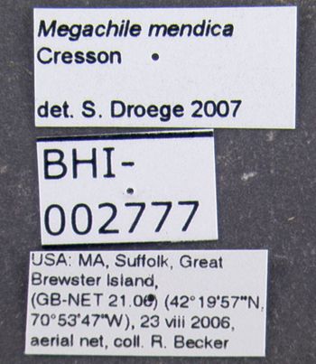 Media type: image;   Entomology 610891 Aspect: labels